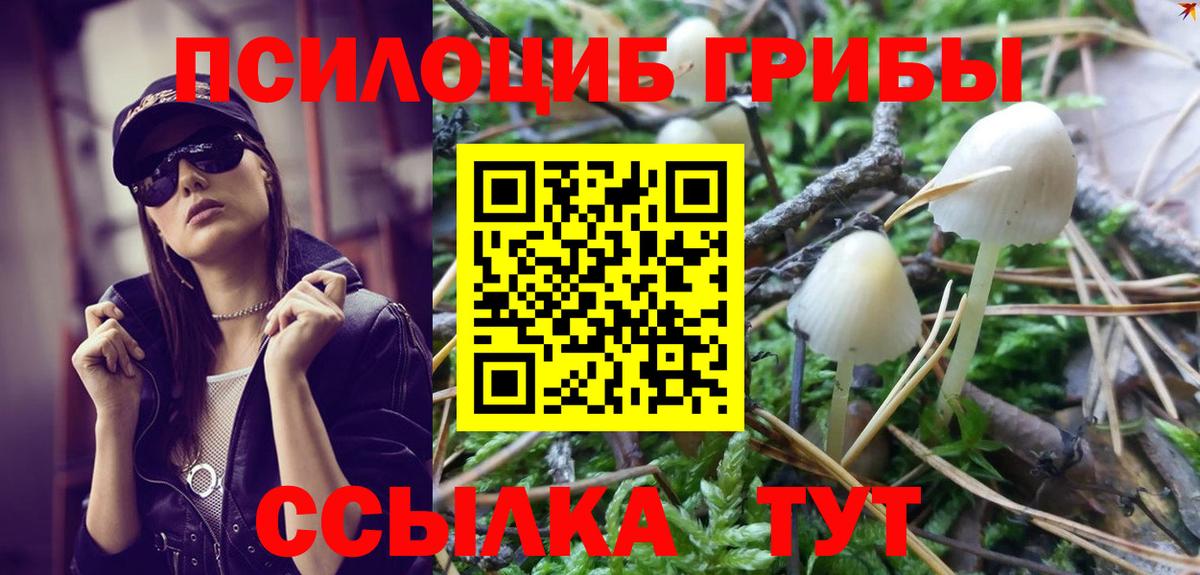 Псилоцибиновые грибы мицелий  Псилоцибиновые грибы мицелий  Батайск  Вход с VPN 