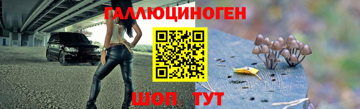 Галлюциногенные грибы Magic Shrooms Батайск